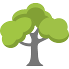 Sylvania Tree Removal