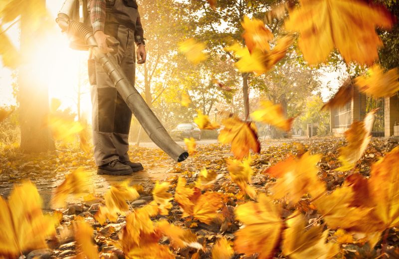 Leaf Blowing