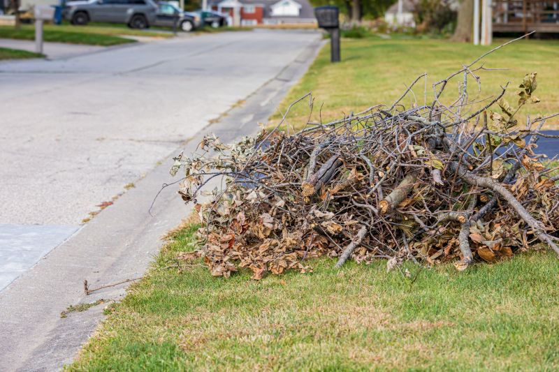 Leaf Disposal