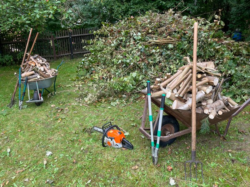 Debris Removal Process