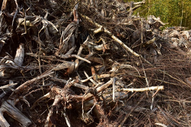 Post-Removal Site Cleanup
