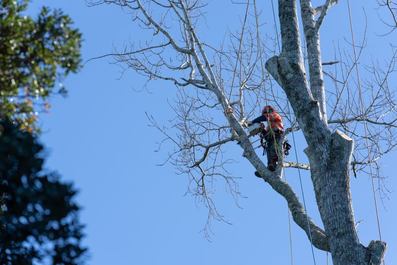 Equipment and Safety Gear